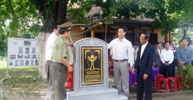 Quảng Nam: Quần thể 3 cây thị trăm tuổi được công nhận Cây Di sản 