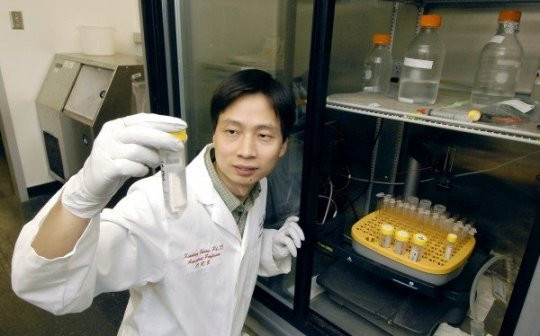 Triển vọng dùng hạt nano trong điều trị ung thư vú