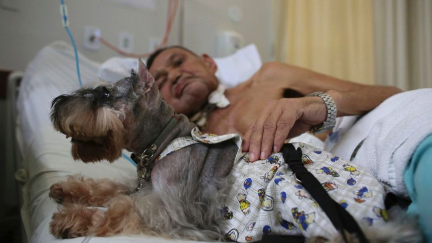Brazil: Đưa chó vào bệnh viện hỗ trợ điều trị ung thư cho bệnh nhân