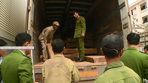 Phát hiện hai xe tải biển số Lào chở trái phép hơn 50 m3 gỗ Đinh Hương