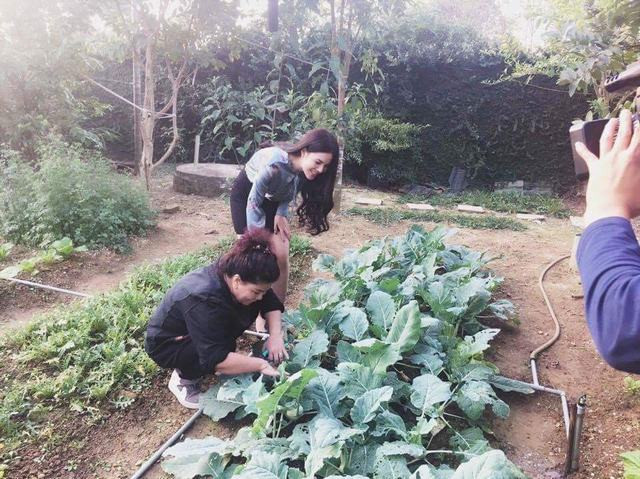 Vườn rau xanh an toàn tự tay trồng của NSND Thanh Hoa