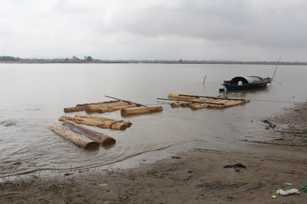 Quảng Nam: 44 khúc gỗ ươi “vô chủ” trôi sông