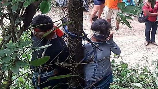 Người phụ nữ bị trói vào cây và bị kiến độc cắn chết vì nghi đánh cắp ô tô
