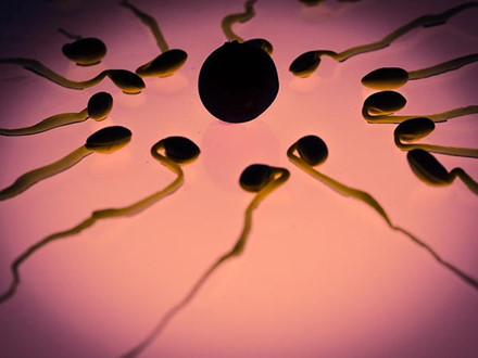 8 điều chưa biết về tinh trùng nam giới