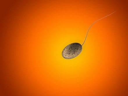 8 điều chưa biết về tinh trùng nam giới