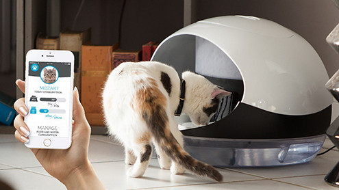 Lạ lùng chiếc lược chải đầu thông minh và máy chăm sóc mèo