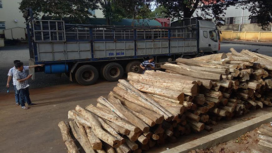 Đắk Lắk: Bắt giữ xe tải chở hơn 10m3 gỗ lậu