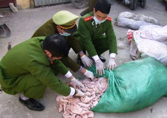 Hưng Yên: Phát hiện 500 kg bì lợn ôi thiu chuẩn bị đưa đi tiêu thụ