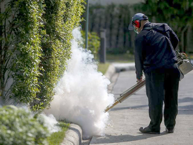 Việt Nam ghi nhận 212 trường hợp nhiễm virus Zika