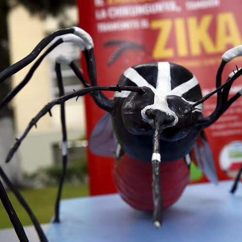 9 bệnh do muỗi truyền nguy hiểm hơn Zika