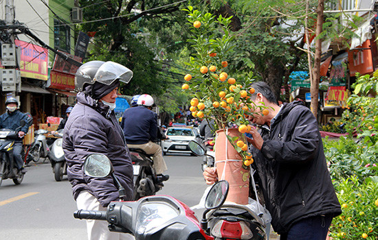 Người Hà Nội nhộn nhịp đi mua hoa Tết