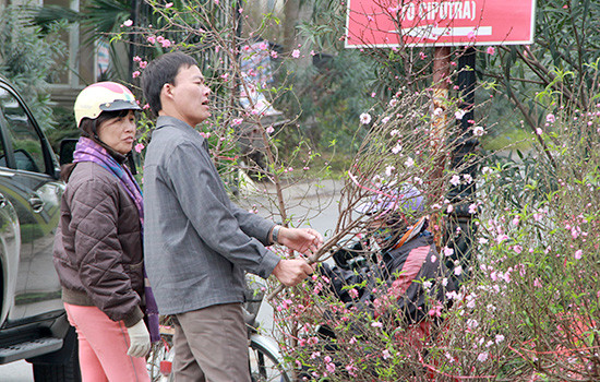 Người Hà Nội nhộn nhịp đi mua hoa Tết
