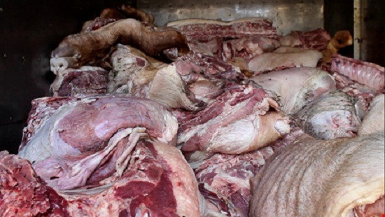Bị phạt 5 triệu đồng vì vận chuyển thịt lợn thối đi tiêu thụ