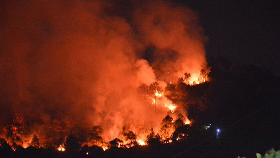 Quảng Ninh: Cháy lớn thiêu rụi nhiều hecta rừng