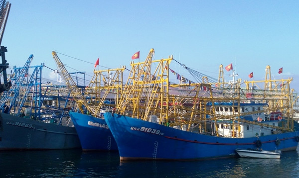 Quảng Nam: Ngư dân ra khơi đánh bắt hải sản đầu năm mới