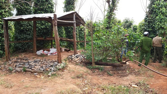 Đắk Lắk: Nghi án hai vợ chồng bị đầu độc bằng thuốc diệt cỏ