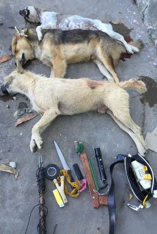 Thanh Hóa: Mang súng tự chế để đi trộm chó