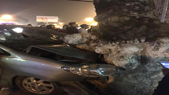 Nghệ An: Xe ô tô đâm vào gốc cây, 4 người bị thương nặng