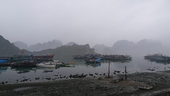 Quảng Ninh: Cảng vụ thủy nội địa hướng dẫn các tàu kiểm soát an toàn do sương mù