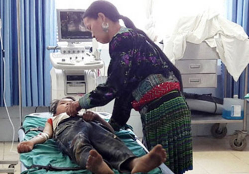 Lai Châu: Ăn lá ngón, 4 học sinh suýt mất mạng