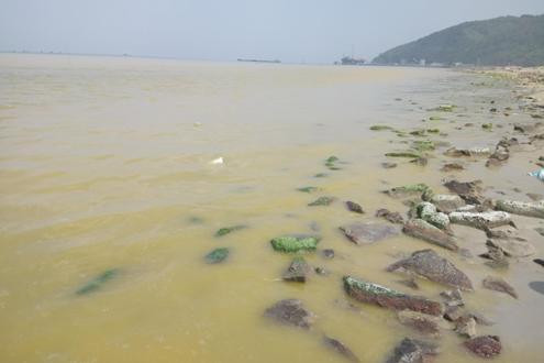 TT-Huế: Phân tích mẫu nước màu vàng xuất hiện gần cảng Chân Mây-Lăng Cô