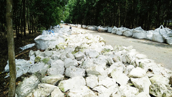 Đồng Nai: Hàng ngàn tấn chất thải giữa rừng tràm