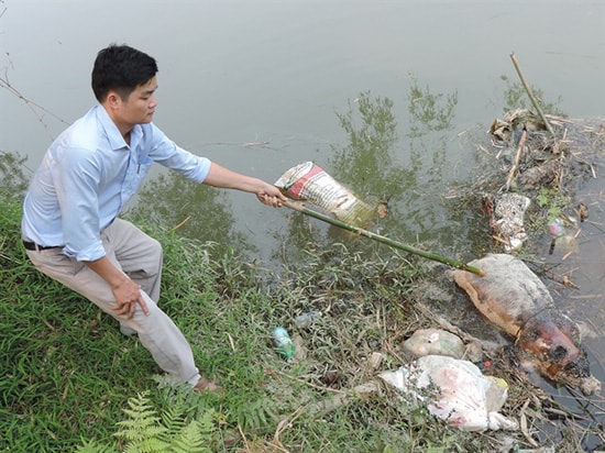 Xác lợn trên sông Phó Đáy tại Vĩnh Phúc là từ thượng nguồn trôi dạt về