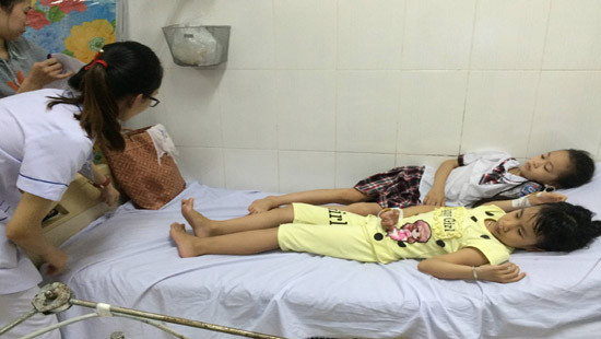Hà Tĩnh: 9 học sinh tiểu học ngộ độc nghi ăn quả cây ngô đồng