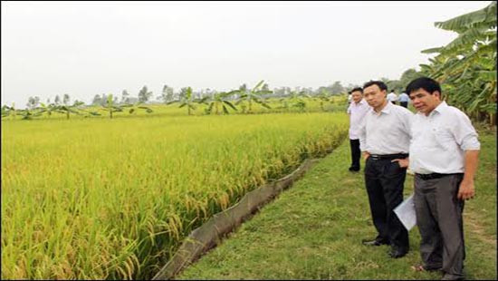 Huyện Ân Thi - Hưng Yên: Bước đột phá mới trong phát triển kinh tế xã hội