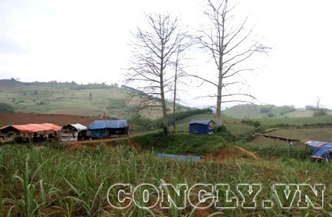 Thanh Hóa: Đột nhập bãi khai thác vàng trái phép