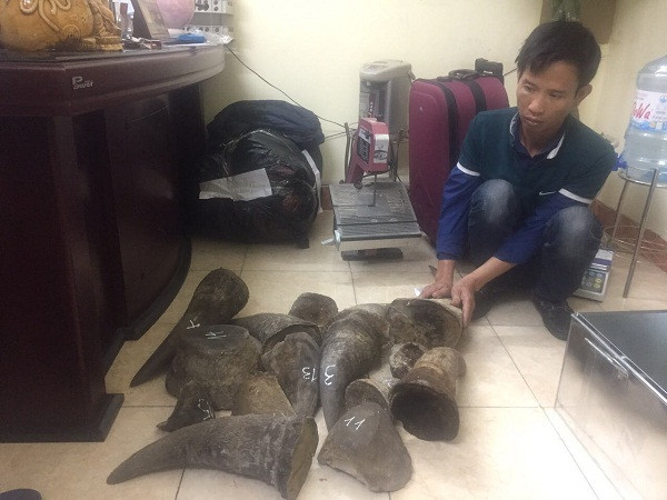 Hà Nội: Bắt “trùm sỏ” chuyên buôn bán động vật hoang dã quý hiếm