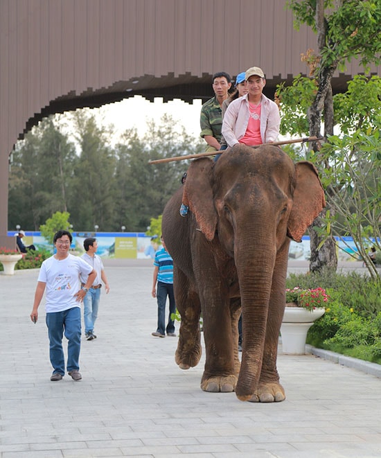 Khách du lịch chen nhau mua vé vào FLC Zoo Safari dịp 30/4