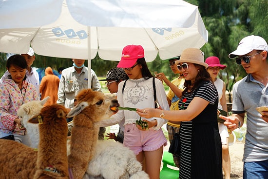 Khách du lịch chen nhau mua vé vào FLC Zoo Safari dịp 30/4