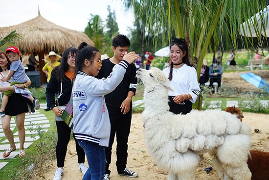 Khách du lịch chen nhau mua vé vào FLC Zoo Safari dịp 30/4