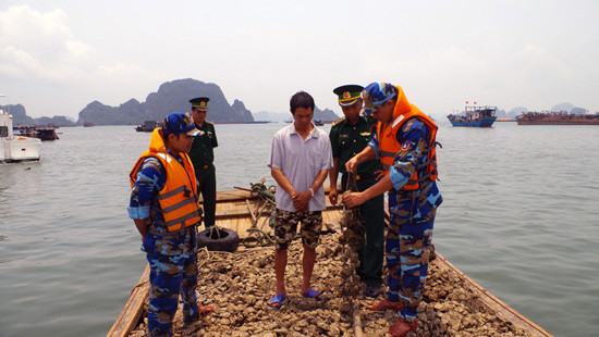 Quảng Ninh: Tiêu huỷ 9 tấn hàu giống không rõ nguồn gốc 
