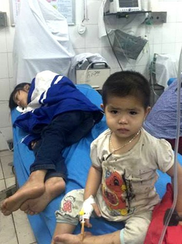 Tuyên Quang: 5 học sinh bị ngộ độc hạt thầu dầu
