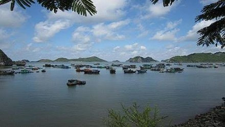 Du lịch biển đảo Việt Nam– nhìn thoáng để vươn xa