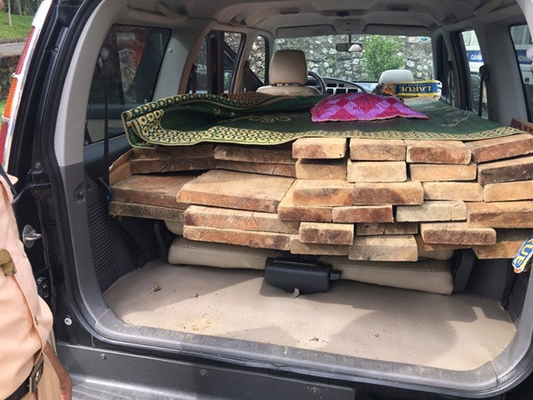 Bắt xe ô tô chở 30 phách gỗ lậu