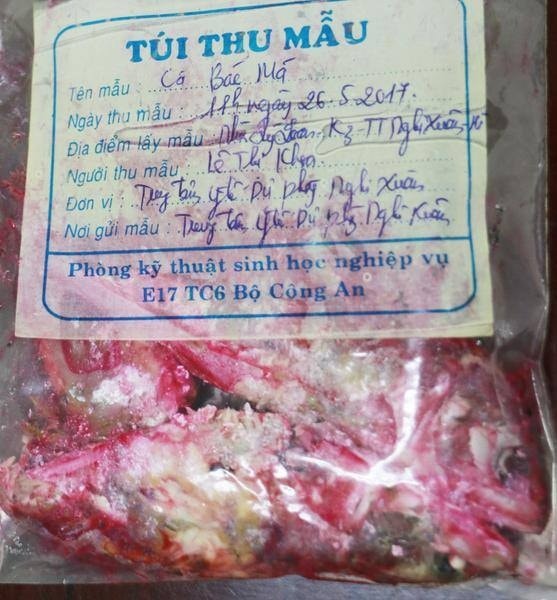 Hà Tĩnh: Hé lộ nguyên nhân cá bạc má đổi màu bất thường