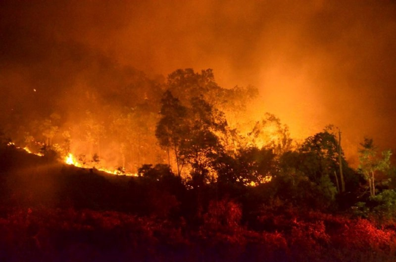 Hà Nội: Huy động hơn 2.000 người dập đám cháy rừng cực lớn ở Sóc Sơn