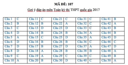 Gợi ý đáp án đầy đủ 24 mã đề Toán kỳ thi THPT Quốc gia 2017 ảnh 6