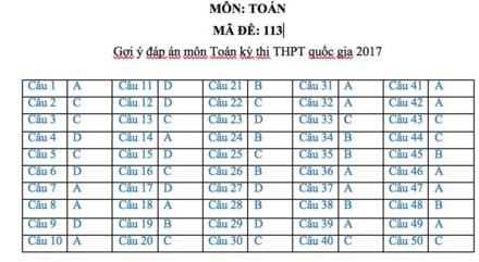 Gợi ý đáp án đầy đủ 24 mã đề Toán kỳ thi THPT Quốc gia 2017 ảnh 12