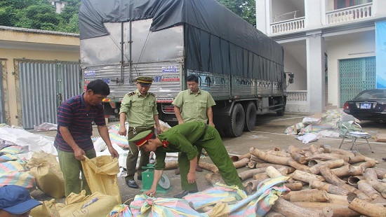 Thanh Hóa: Bắt hơn 2,7  tấn ngà voi trên xe tải