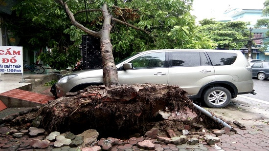 Thanh Hóa: Nhiều hộ dân sơ tán khẩn cấp sau bão số 2 