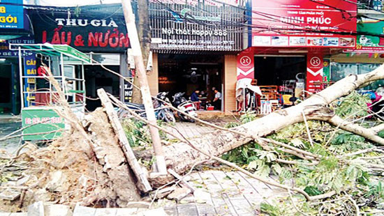 Bão số 2 gây thiệt hại nặng nề cho các tỉnh bắc Trung Bộ