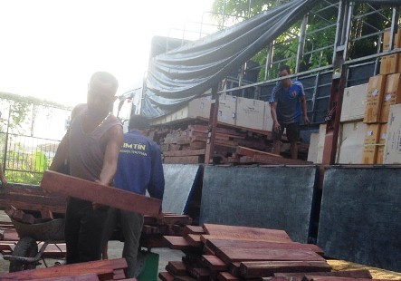 Thanh Hóa: Bắt giữ xe vận chuyển gỗ lậu