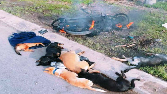 Đồng Nai: Người dân đốt xe máy, đánh đập dã man 2 người trộm chó