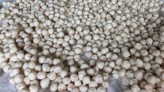 TP Vinh: Phát hiện, thu giữ hơn 2 tấn thực phẩm