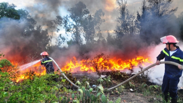Quảng Nam: Cháy 20ha rừng nguyên sinh 