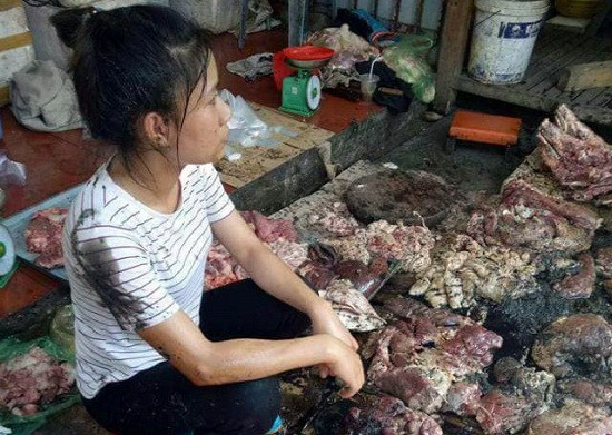 Xét xử vụ đổ dầu nhớt bẩn vào hàng thịt lợn ở Hải Phòng